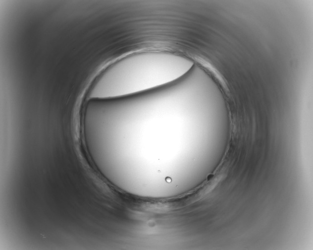 X0000089681083200706210809