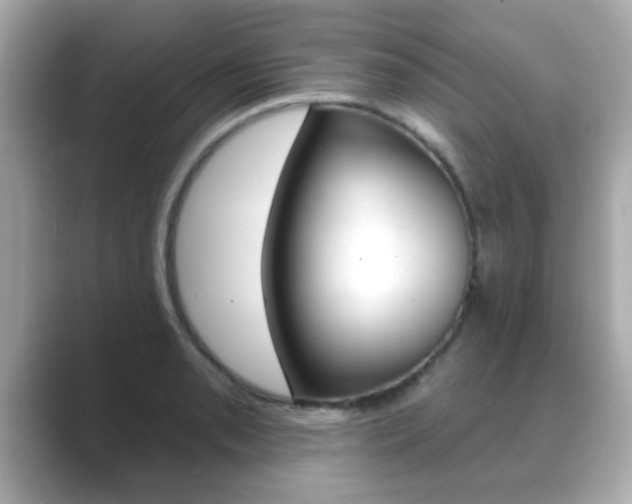 X0000089681085200706210809