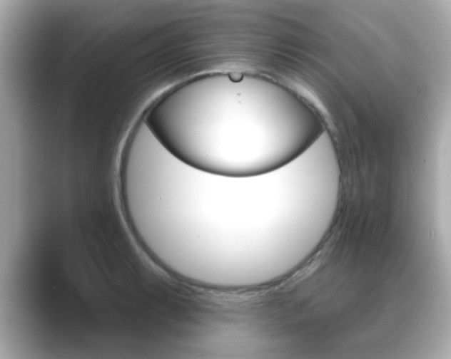 X0000089681087200706210809