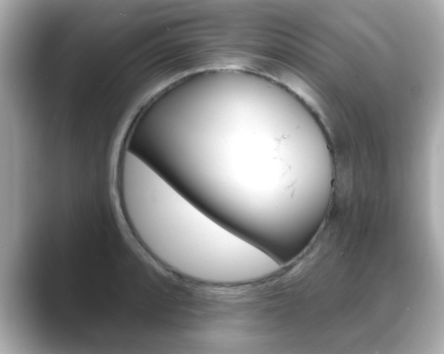X0000089681088200706210809