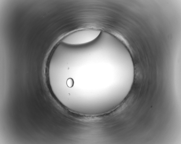 X0000089681091200706210809
