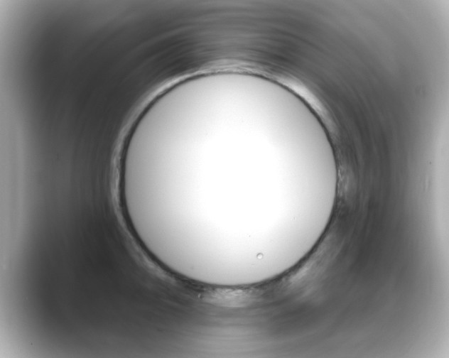 X0000089681094200706210809