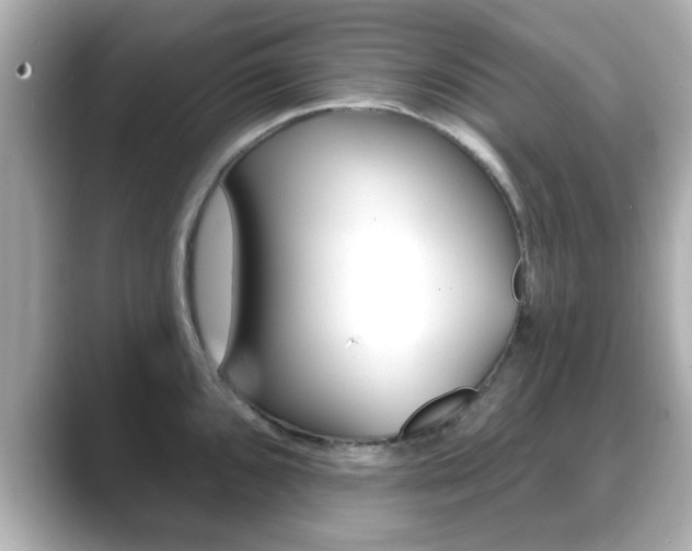 X0000089681096200706210809