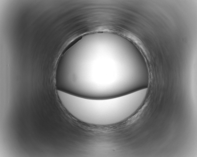 X0000089681097200706210809