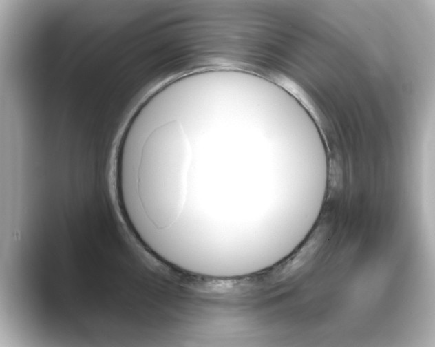 X0000089681098200706210809