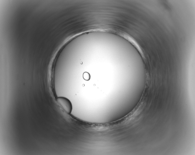 X0000089681099200706210809