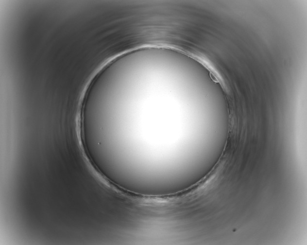 X0000089681100200706210809