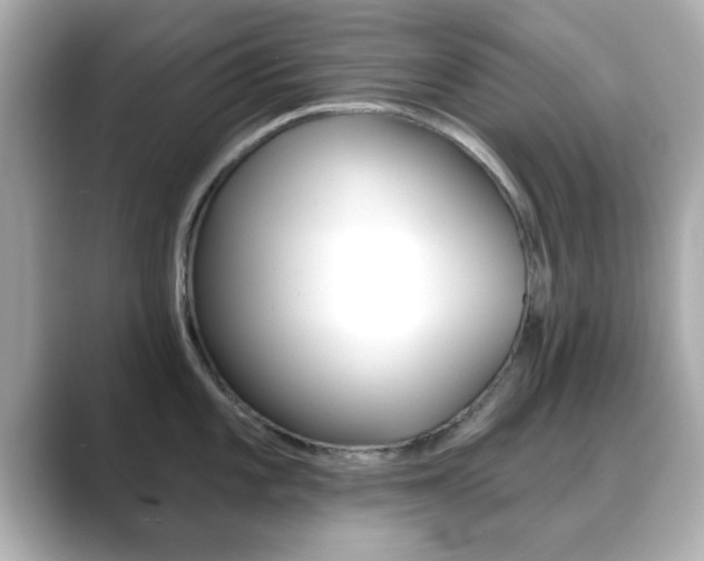 X0000089681101200706210809