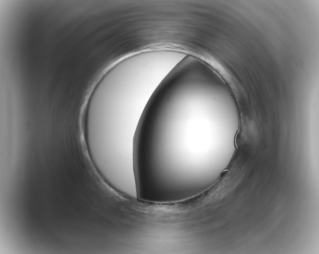 X0000089681102200706210809