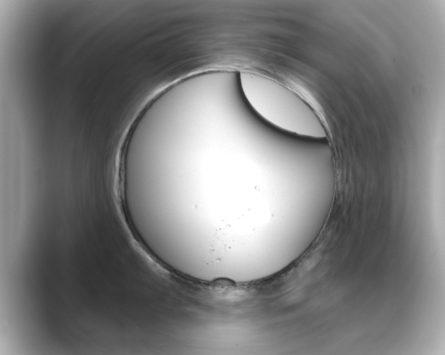 X0000089681103200706210809