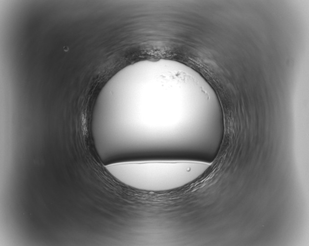 X0000089681106200706210808