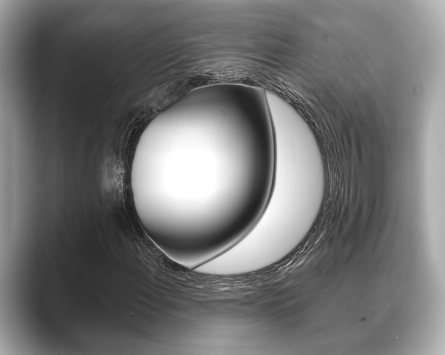 X0000089681108200706210808