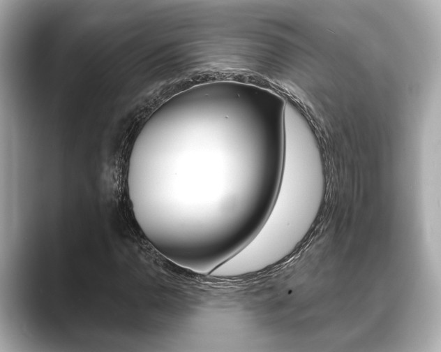 X0000089681110200706210808