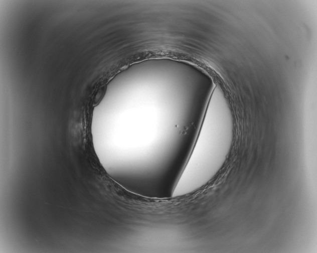 X0000089681111200706210808