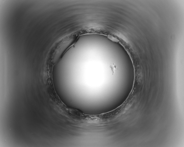 X0000089681112200706210808