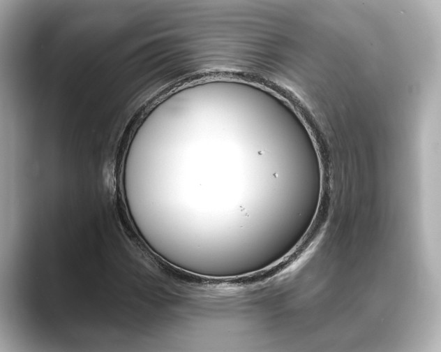 X0000089681113200706210808