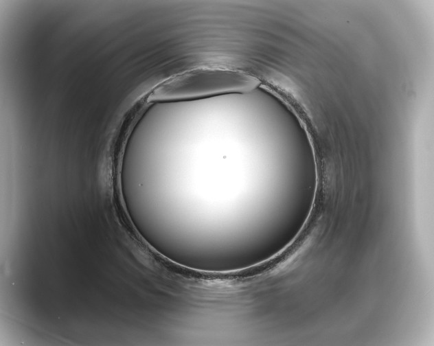 X0000089681114200706210808