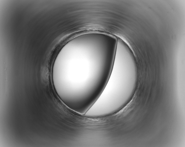 X0000089681115200706210808