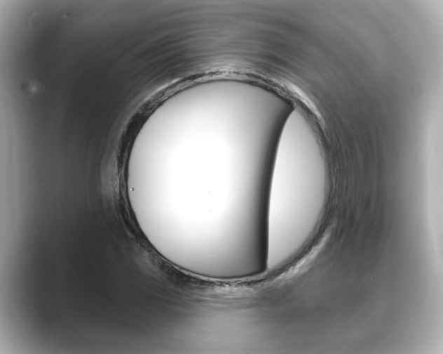 X0000089681117200706210808