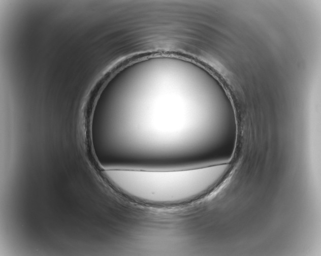 X0000089681118200706210808