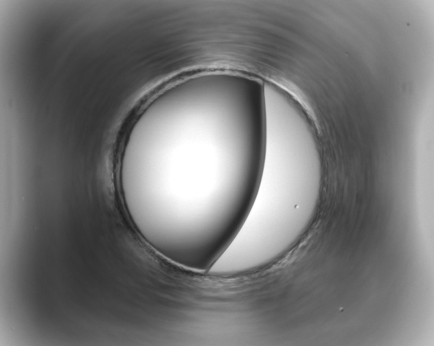 X0000089681120200706210808