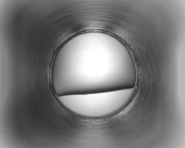 X0000089681121200706210808