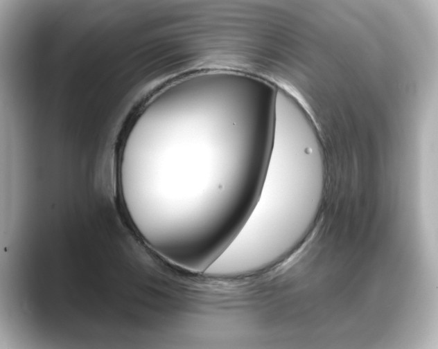 X0000089681123200706210808