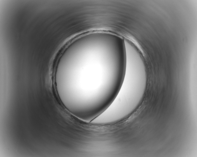 X0000089681124200706210808