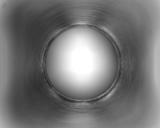 X0000089681129200706210809