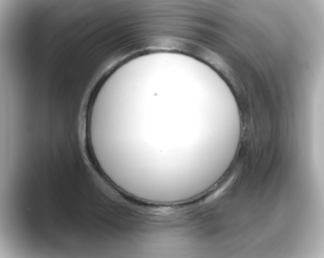 X0000089681130200706210809