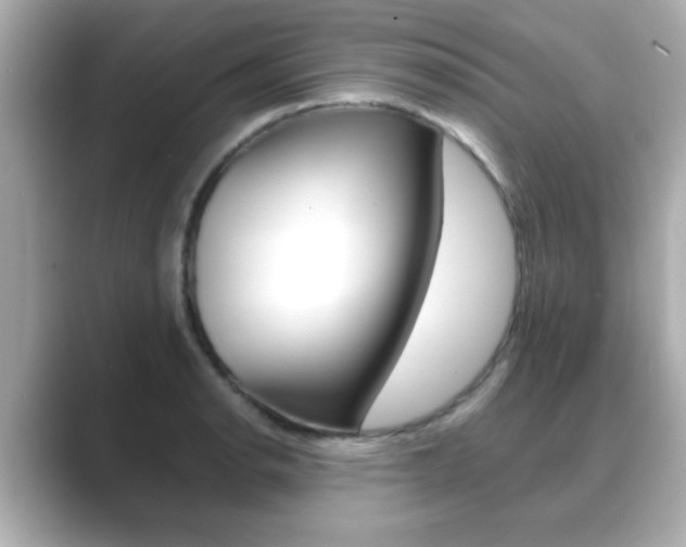 X0000089681134200706210809