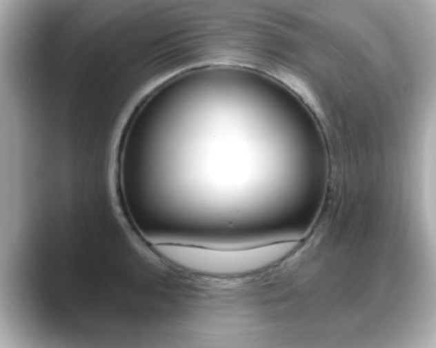 X0000089681136200706210809