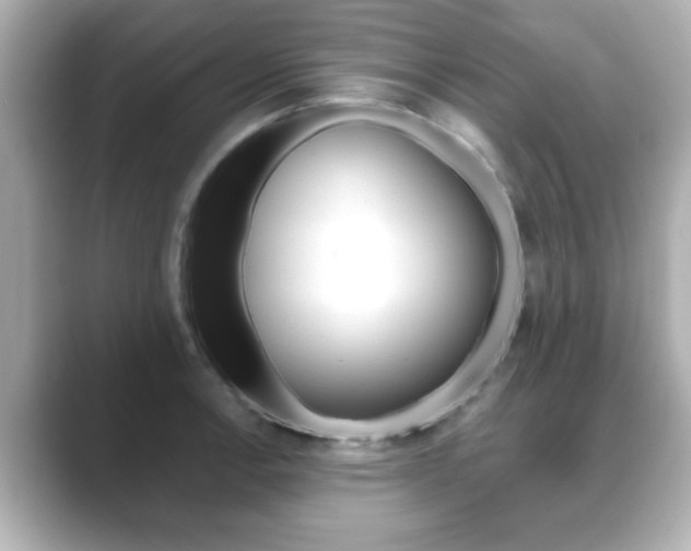 X0000089681138200706210809