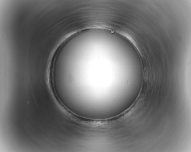 X0000089681139200706210809