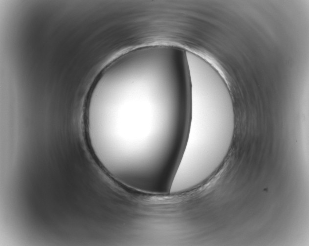 X0000089681142200706210809