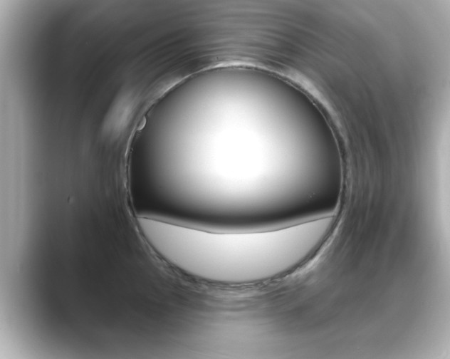 X0000089681145200706210809