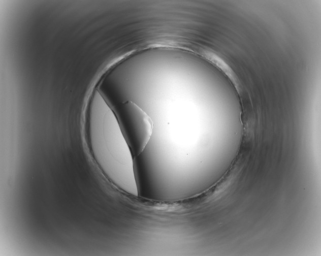 X0000089681146200706210809