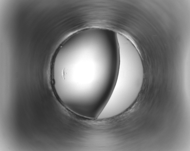 X0000089681147200706210809