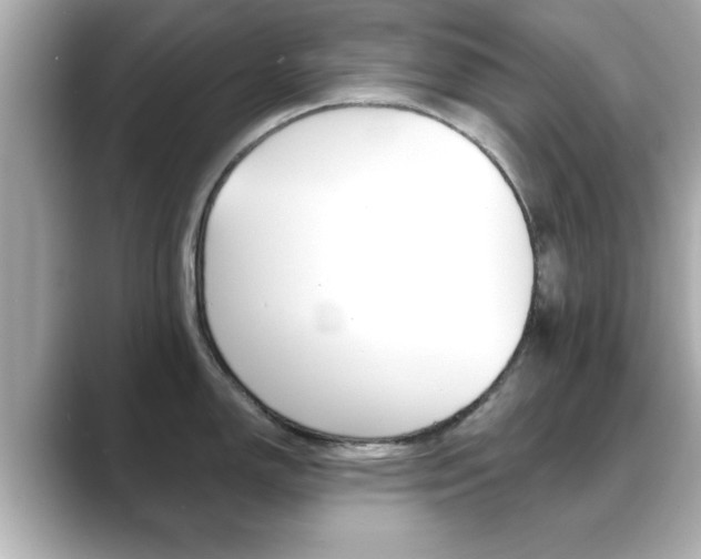 X0000089681150200706210809