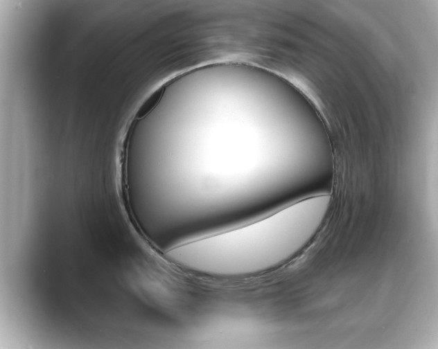 X0000089681151200706210809