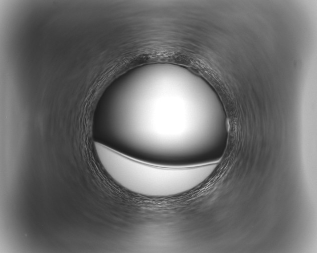 X0000089681153200706210808
