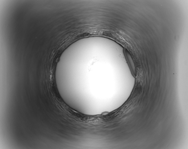 X0000089681154200706210808