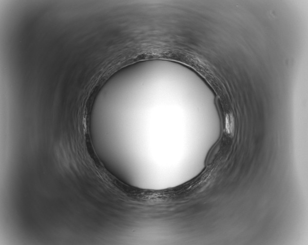 X0000089681155200706210808