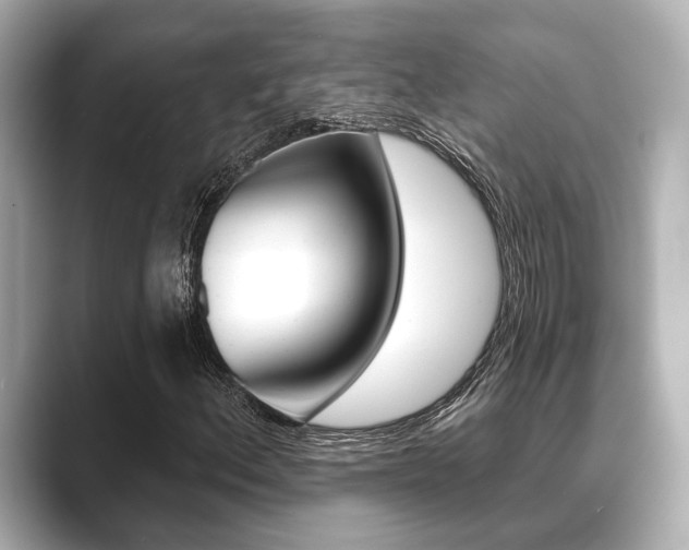 X0000089681156200706210808