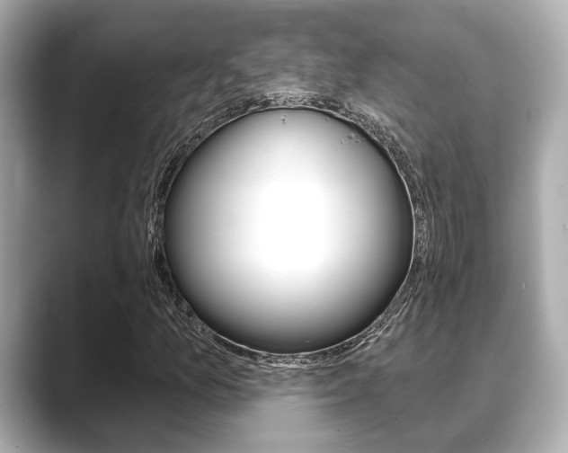 X0000089681157200706210808