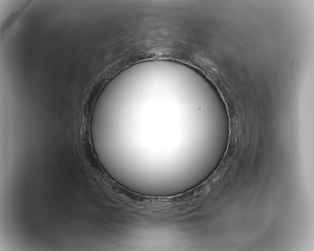 X0000089681158200706210808