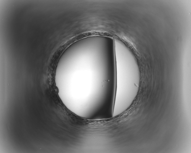 X0000089681159200706210808