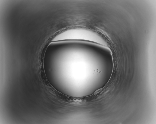 X0000089681160200706210808