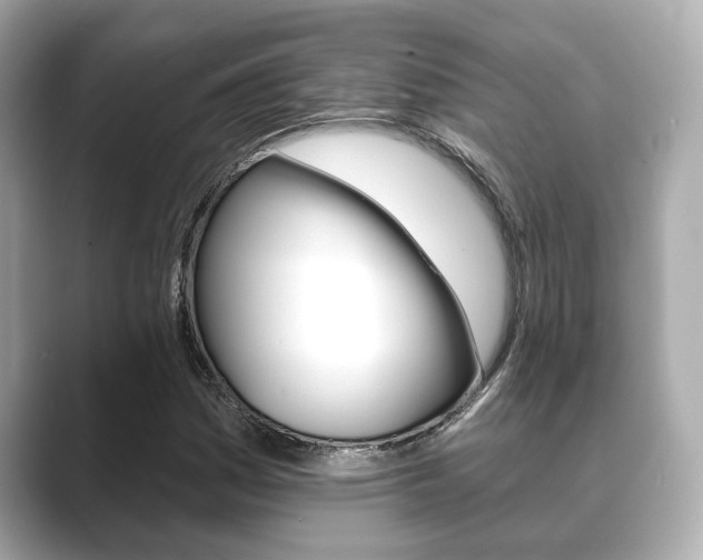 X0000089681161200706210808