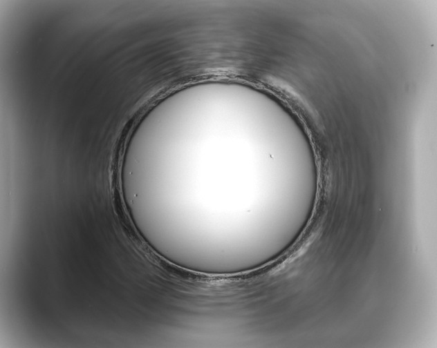 X0000089681162200706210808